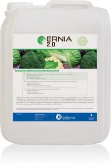 Ernia 2.0 5l