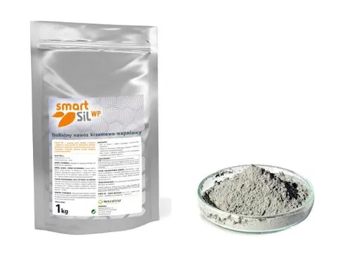 SmartSil WP 10kg