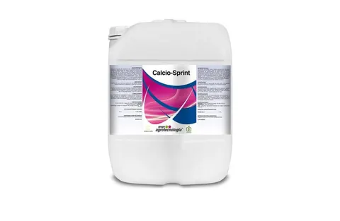 Calcio Sprint 5l