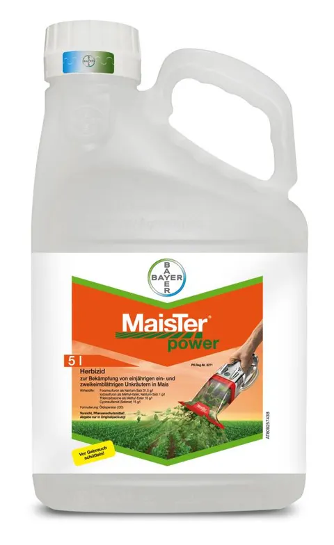 Maister Power 42,5 OD 5L