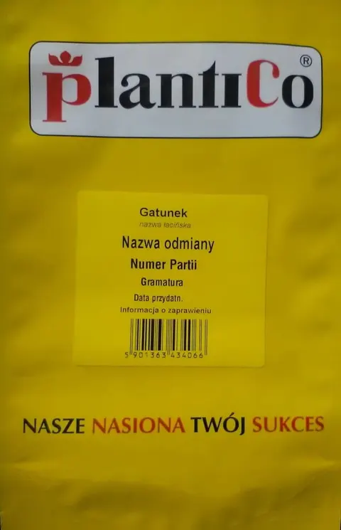 CEBULA ŁAWICA 500G PLANTICO