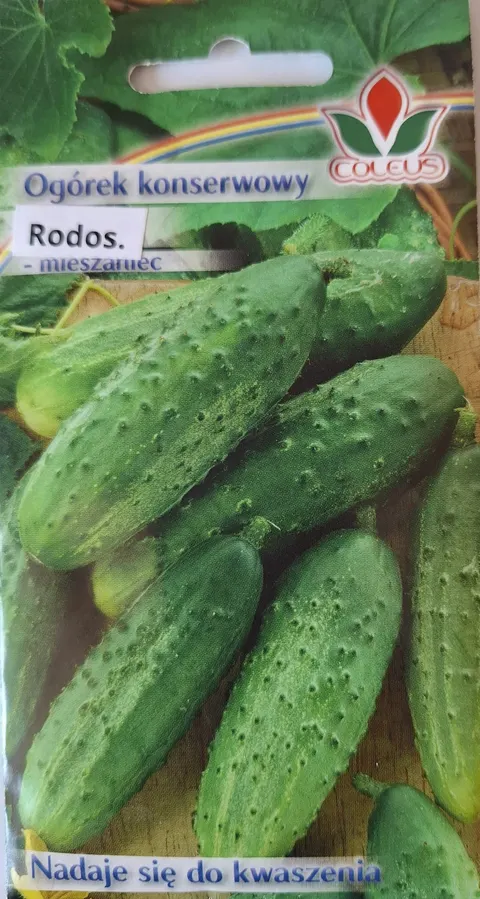 COLEUS OGÓREK KONSERWOWY RODOS 5G
