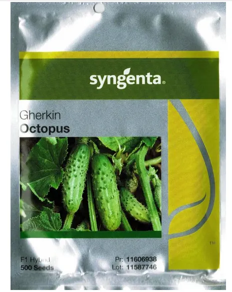 Ogórek Octopus 25 tys. nasion
