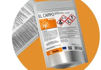 EL CAPPO 80 WG 10KG (CAPT)
