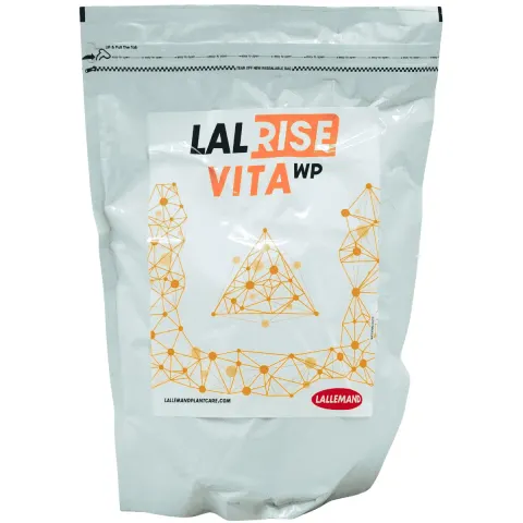 Lalrise Vita wp 1kg