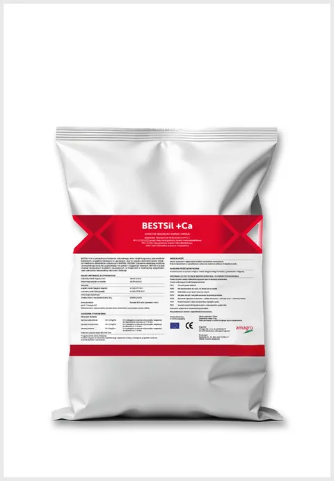 BESTSIL 1KG WAPNO + KRZEM