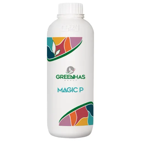 MAGIC P 1L
