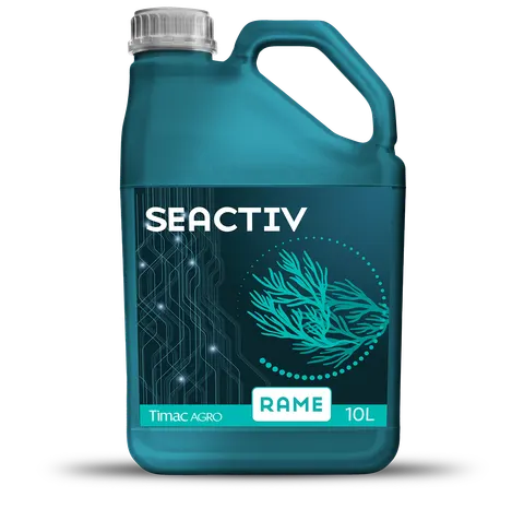 SEACTIVE RAME 10L