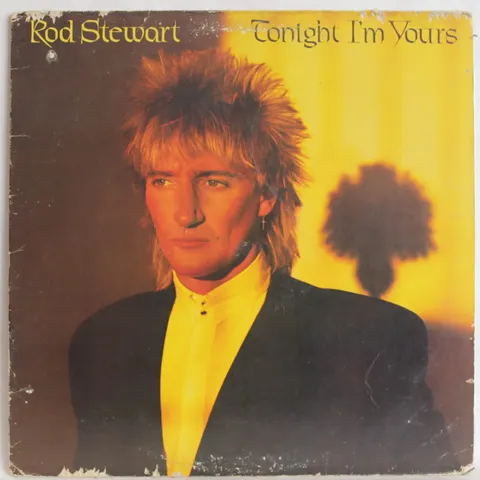 Rod Stewart Tonight I'm Yours LP BSK3602 VG