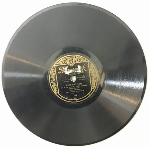 Bing Crosby Please / Here Lies Love A500218 Brunswick