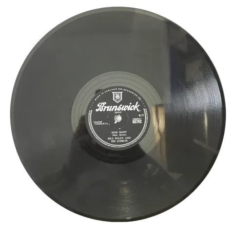 Bill Haley and His Comets Skinny Minnie / How Many 5742 Brunswick