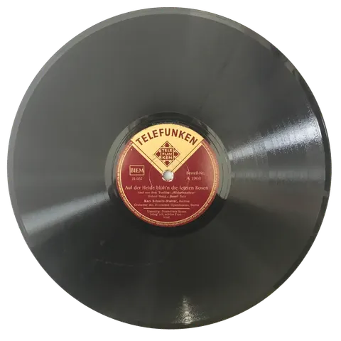 Karl Scmitt-Walter Dunkelrote Rosen / Auf der Heide A1906 Telefunken
