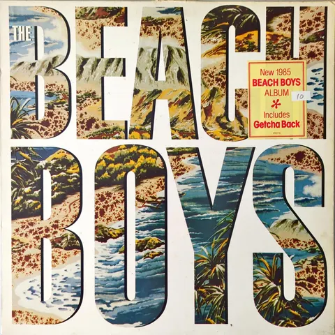 The Beach Boys The Beach Boys LP CRB26378 VG-