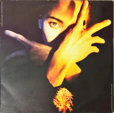 Terence Trent D'Arby's Neither Fish Nor Flesh LP 465809 Good