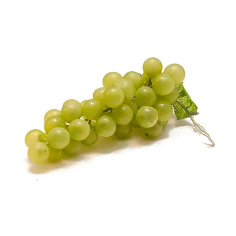 Winogrono sztuczne zielone