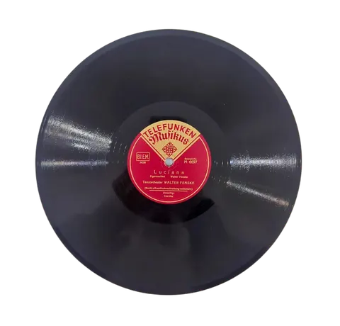 Walter Fenske: Luciana / Csardas M6697 Telefunken