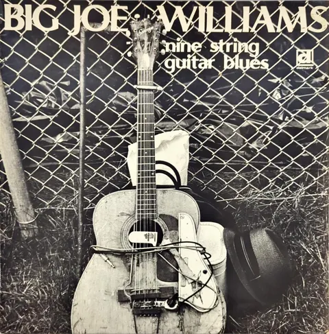 Big Joe Williams Nine String Guitar Blues LP DS627 VG+