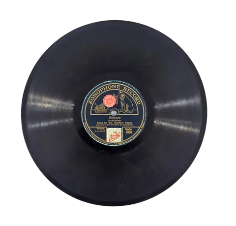 Herbert Payne: Nobody Knows And Nobody Seems To Care / Swanee 2036 Zonophone Record