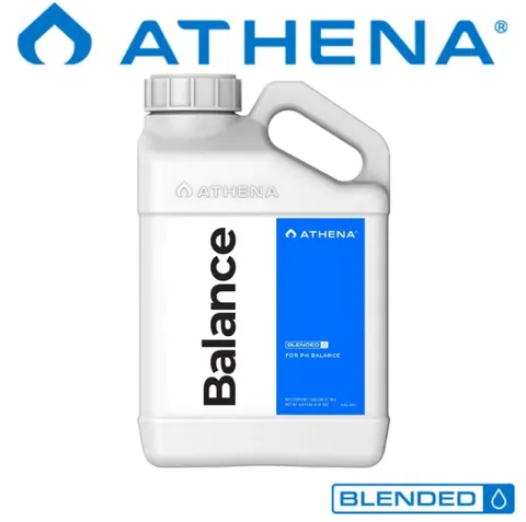 Athena Balance 946ml - do buforowania roztworów