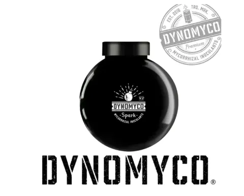 Dynomyco Spark 3 w 1 170g proszek mycoryza