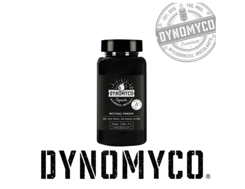 Dynomyco Spark 3 w 1 115g proszek mycoryza