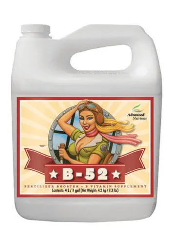ADVANCED NUTRIENTS B-52 5L MIESZANKA WITAMINOWA 05484