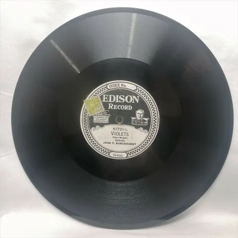 Burckhardt Violets/Blue Bells Of 51721 Edison