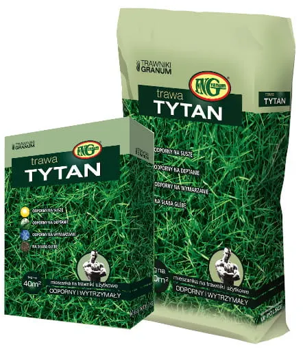 TYTAN -mieszanka traw na B. suche