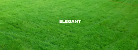 Elegant -zielony dywan, golfowa