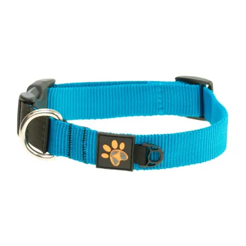JoQu Obroża dla psa JoQu® Classic Collar turkusowa