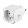 Gniazdko gniazdo wtyczka ZigBee Tuya Philips Hue 3680 W pomiar prądu