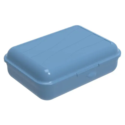 Pojemnik na żywność Funbox 1,25 l FUN Horizon Blue/Horizon Blue 1710606161 Rotho