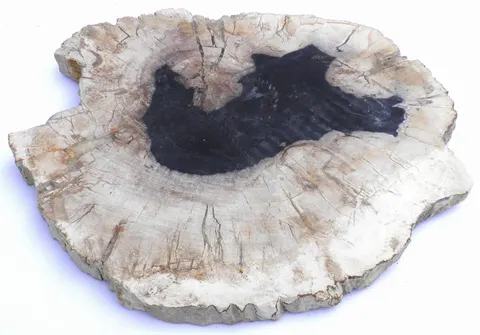 Taca kamienna skamieniałe drewno 29 x 26 cm T31