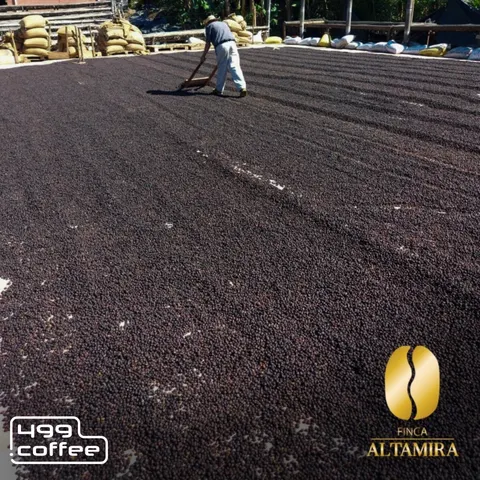 Kawa speciality El Salvador Altamira 499g 2026.09.23