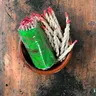 Kadzidełka sznurkowe BAZYLIA AZJATYCKA (Nepal)