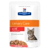 Hill's Prescription Diet c/d Urinary Stress Feline Salmon 85g