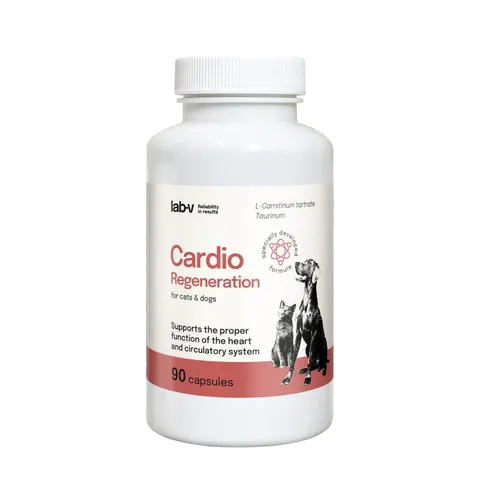 Lab-v Cardio Regeneration 90 kapsułek – wsparcie serca dla psów i kotów