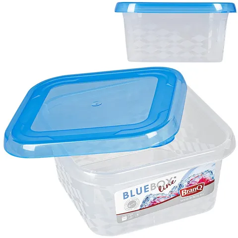 Kwadratowy pojemnik BLUE BOX 0,8 L - 2080 BRANQ