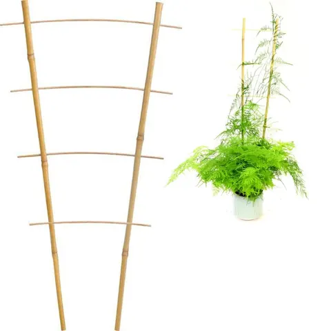 Drabinka Bambusowa podwójna 45 cm BAM3106 CHOMIK