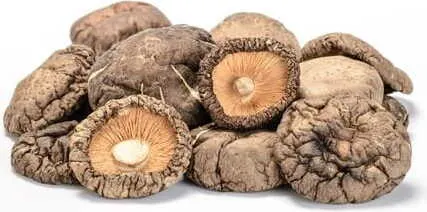 SHIITAKE (GRZYBY SUSZONE) BIO (SUROWIEC) (15 kg)