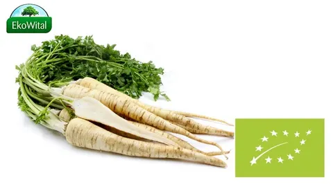 Pietruszka BIO 1 kg