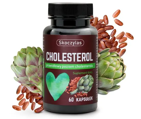 Cholesterol - suplement diety - 60 kapsułek - SKOCZYLAS