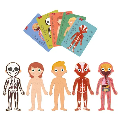 Apli Kids puzzle edukacyjne Ciało człowieka