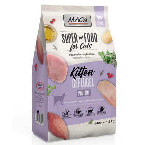 Mac's Kitten
