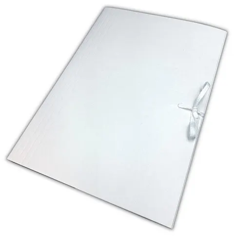 Teczka Wiązana Tekturowa 350g 320x230x35 ARO