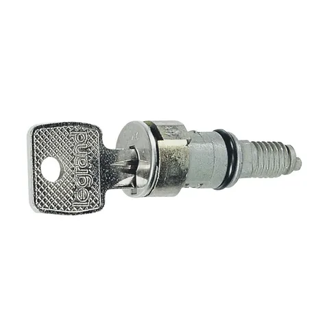 Wkładka bębenkowa z 2 kluczami Nr 455; 036824 LEGRAND