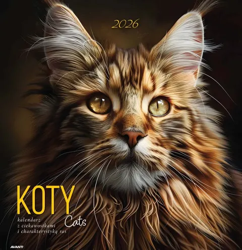 Kalendarz 2026 Ścienny Albumowy KOTY