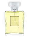 Chanel No. 19 Poudre Woda perfumowana 100ml