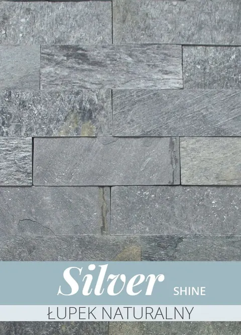 Silver shine - łupek naturalny płytki 30 x 10 - 0,45 m2