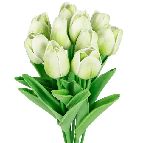 [w0477] Bukiet tulipanów 10 kwiatów pistacjowy 34cm